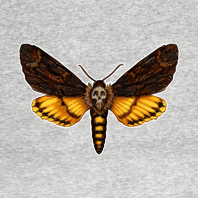 Death's Head Moth by CAdamsArt